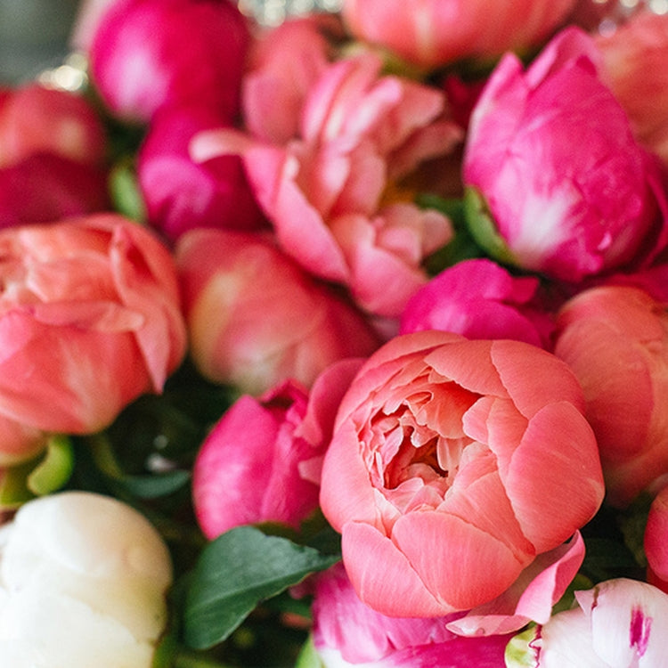 Simple Scents Magnolia and Peony Candle