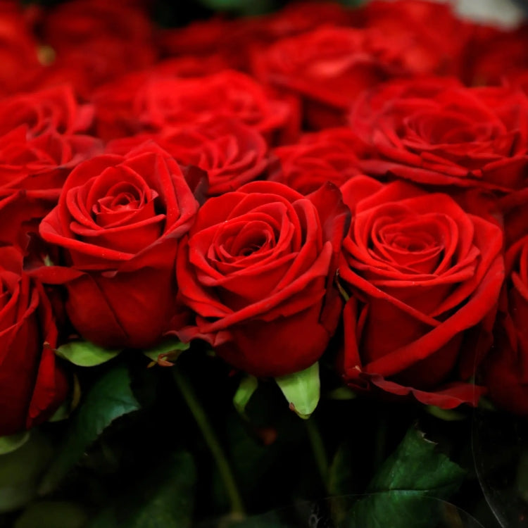 Simple Scents Rose Petals Candle