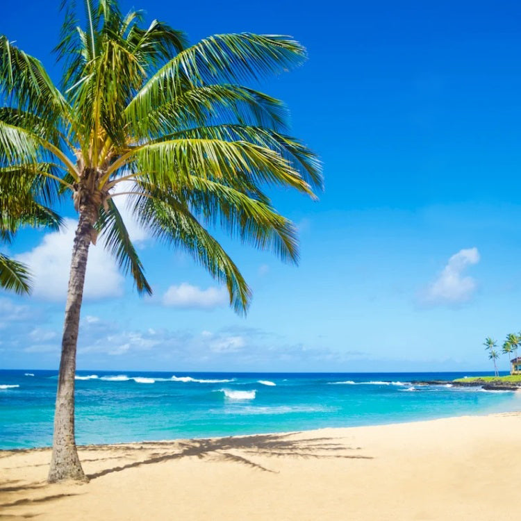 Simple Scents Ocean Breeze Candle