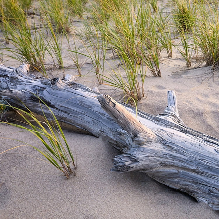 Simple Scents Beachwood Candle