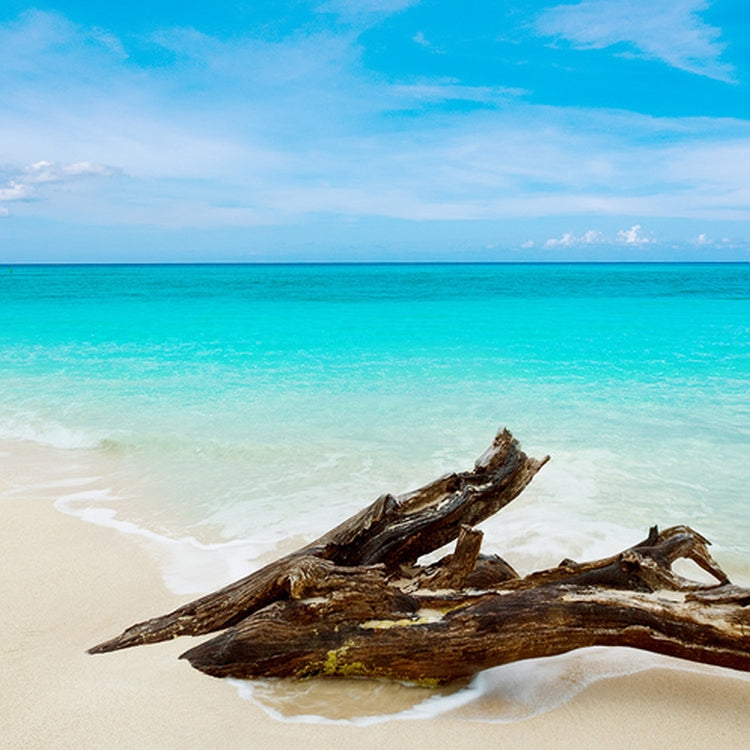 Simple Scents Caribbean Teakwood Candle