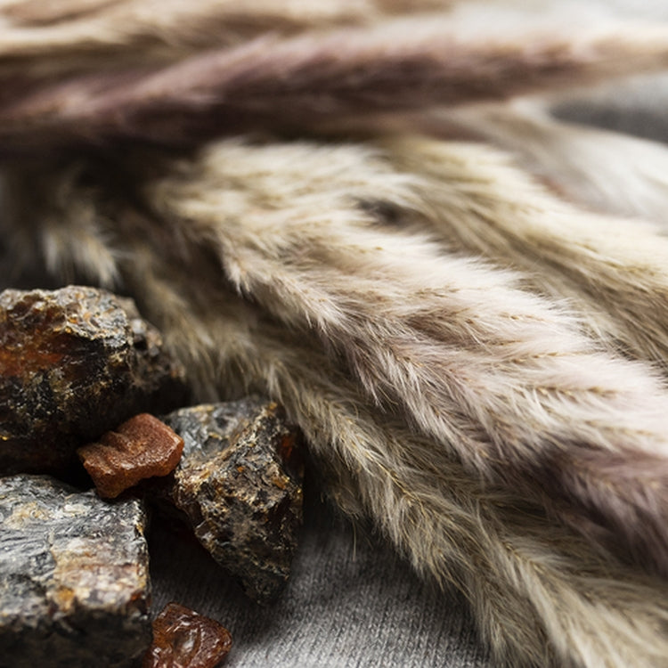 Simple Scents Cashmere Musk Candle