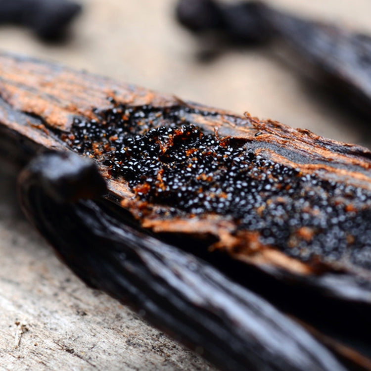 Simple Scents Vanilla Bean Candle