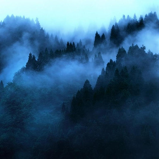 Simple Scents Mountain Mist Candle