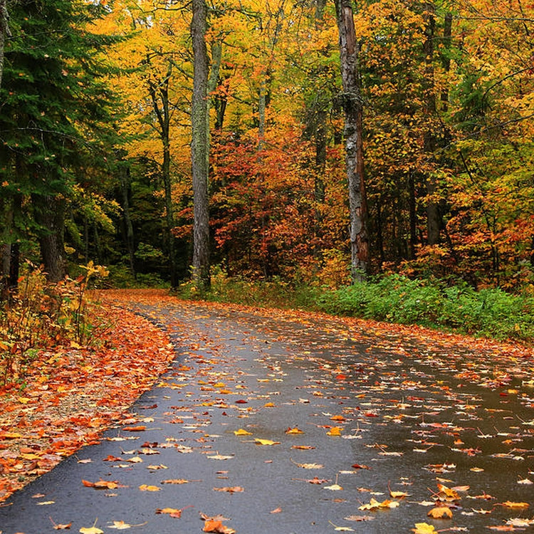 Simple Scents Autumn Rain Candle