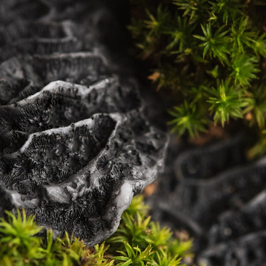 Simple Scents Black Coral and Moss Candle