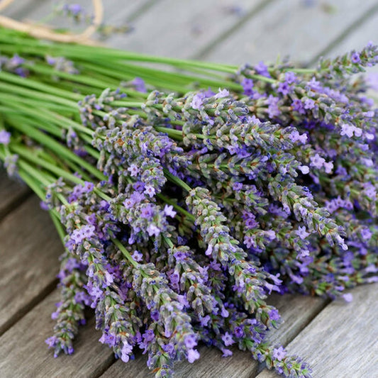 Simple Scents Lavender Candle