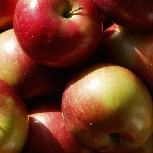 Simple Scents Macintosh Apple Candle