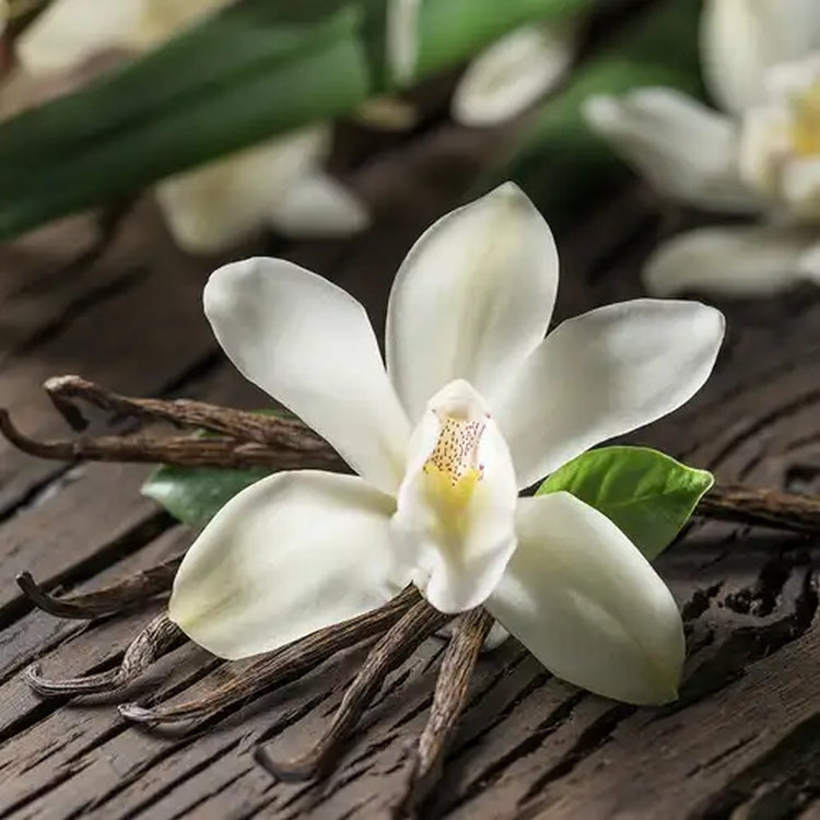 Simple Scents Vanilla Orchid Candle