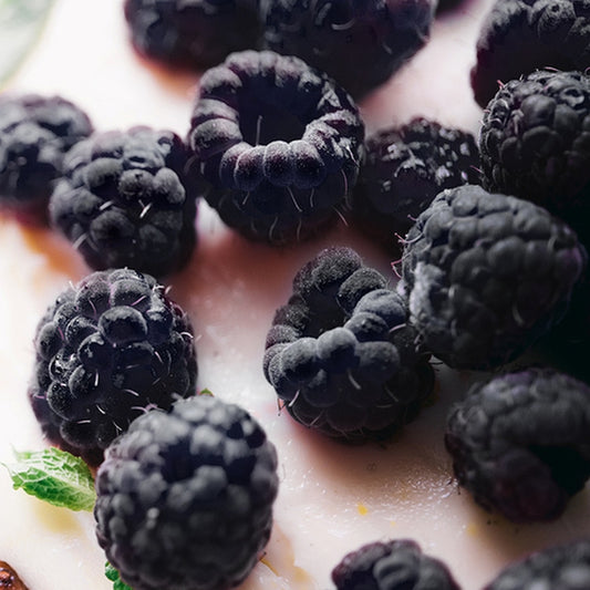 Simple Scents Black Raspberry and Vanilla Candle