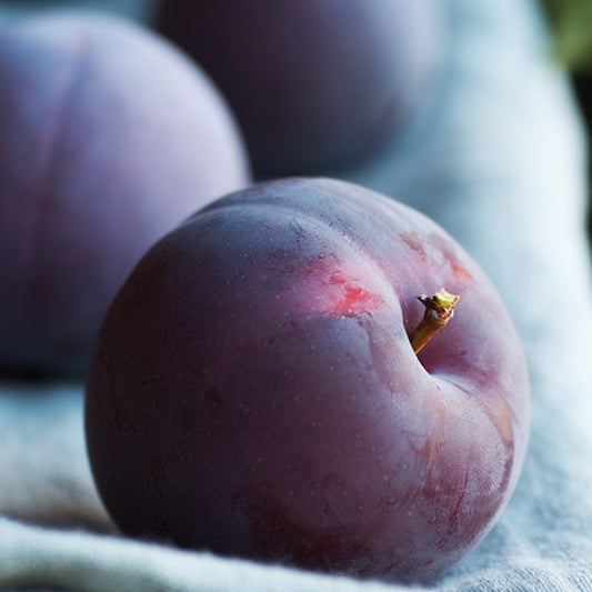 Simple Scents Cashmere Plum Candle