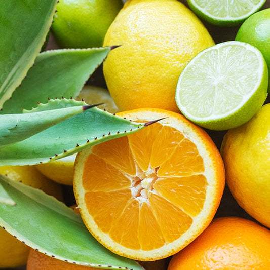 Simple Scents Citrus Agave Candle